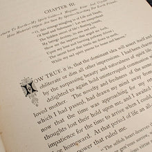 Load image into Gallery viewer, Fox - The Phantom Form (1881)