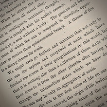 Load image into Gallery viewer, Figuier - The Day after death (1884)