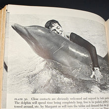 Load image into Gallery viewer, Lilly - The Mind of the Dolphin (1967)