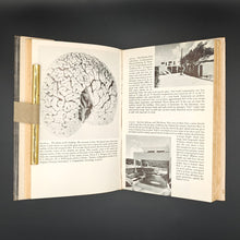 Load image into Gallery viewer, Lilly - The Mind of the Dolphin (1967)