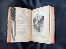 Load image into Gallery viewer, Darwin - The Works of Charles Darwin (1896-1897)