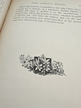 Load image into Gallery viewer, Britten & Wilkinson - Autobiography of Emma Hardinge Britten (1900)