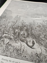 Load image into Gallery viewer, Dante & Doré. Purgatory & Paradiso (1901)