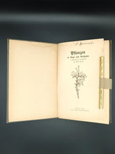Load image into Gallery viewer, Tenne - Pflanzen in Sage und Geschichte (ca. 1900)