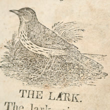 Load image into Gallery viewer, Little Stories about the Lark, Wren, Crow, and Owl (1836)