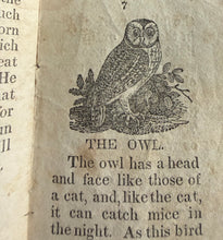 Load image into Gallery viewer, Little Stories about the Lark, Wren, Crow, and Owl (1836)