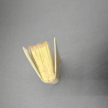 Load image into Gallery viewer, Unusual Size, Unusual Binding for Worship: The Book of Common Prayer (1890)