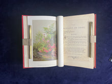 Load image into Gallery viewer, A Celebration of God, Nature, and Beautiful Book Art : Frances Ridley Havergal - Life Mosaic (1882)