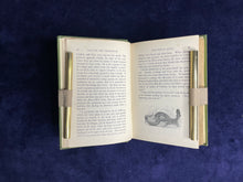 Load image into Gallery viewer, : The Juvenile Gift Book (n.d. 1880s)