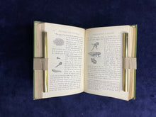 Load image into Gallery viewer, : The Juvenile Gift Book (n.d. 1880s)