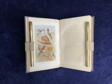 Load image into Gallery viewer, A Tour of Victorian Christianity & A New Process of Printing: Various - The Coronal (1858)