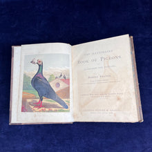 Load image into Gallery viewer, Pigeons as the Highest Form of Beauty: Robert Fulton - The Illustrated Book of Pigeons (1874-1881)