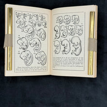 Load image into Gallery viewer, Keller - Sexual Education : 10 Vol. Set (1928)