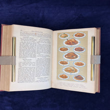 Load image into Gallery viewer, "The Infallibility of Britons as Long as They Are Fed on Beef": Mary Jewry - Warne's Model Cookery with Complete Instructions in Household Management (1875?)