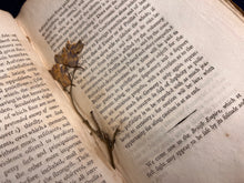 Load image into Gallery viewer, Emphemeral Look at the Seed of Europe's Crises: Benjamin Vaughn - The Concert of Princes (1793)