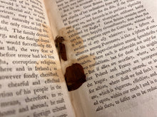 Load image into Gallery viewer, Emphemeral Look at the Seed of Europe's Crises: Benjamin Vaughn - The Concert of Princes (1793)