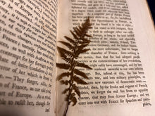 Load image into Gallery viewer, Emphemeral Look at the Seed of Europe's Crises: Benjamin Vaughn - The Concert of Princes (1793)