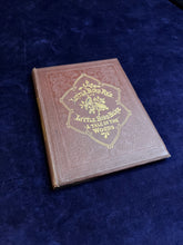 Load image into Gallery viewer, "Come, all ye birds, and rejoice with me" : M. Betham Edwards - Little Bird Red and Little Bird Blue (1861)