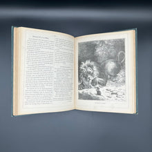 Load image into Gallery viewer, Lectures illustrées pour les enfants (1878)