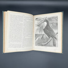 Load image into Gallery viewer, Lectures illustrées pour les enfants (1878)