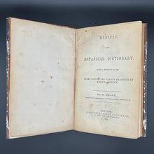 Load image into Gallery viewer, Beach - Medical and Botanical Dictionary (1848)