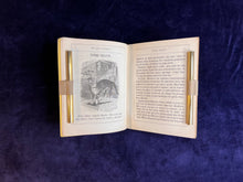 Load image into Gallery viewer, Learning from Animals : Unknown - Nos Jolis Animaux (1873)