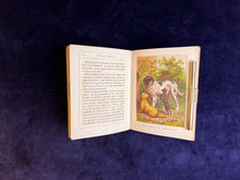 Load image into Gallery viewer, Learning from Animals : Unknown - Nos Jolis Animaux (1873)