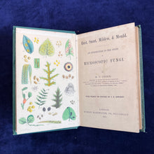 Load image into Gallery viewer, Rusts, Smuts, Mildews and Mould: Cooke - Introduction to Microscopic Fungi (1865)