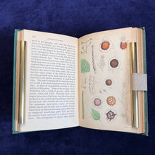 Load image into Gallery viewer, Rusts, Smuts, Mildews and Mould: Cooke - Introduction to Microscopic Fungi (1865)