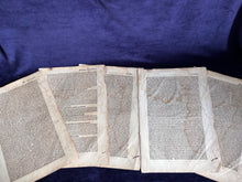 Load image into Gallery viewer, Creating a Modern Europe: Hartmann Schedel, 9 leaves from the Nuremberg Chronicle (1493)