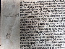 Load image into Gallery viewer, Creating a Modern Europe: Hartmann Schedel, 9 leaves from the Nuremberg Chronicle (1493)