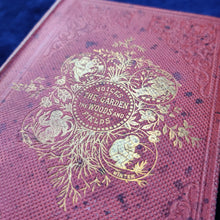 Load image into Gallery viewer, : Voices of the Garden, the Woods, and the Fields