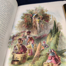 Load image into Gallery viewer, : Voices of the Garden, the Woods, and the Fields