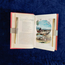 Load image into Gallery viewer, : Voices of the Garden, the Woods, and the Fields