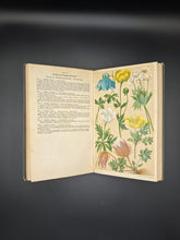 Load image into Gallery viewer, Flowers from On High: Schröter - Alpine Flowers (19th/20th c.)