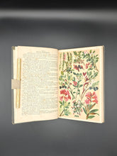 Load image into Gallery viewer, Flowers from On High: Schröter - Alpine Flowers (19th/20th c.)