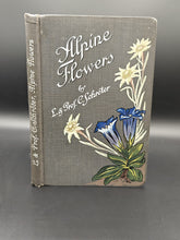 Load image into Gallery viewer, Flowers from On High: Schröter - Alpine Flowers (19th/20th c.)