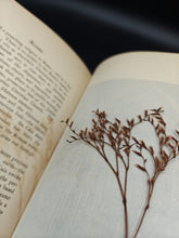 Load image into Gallery viewer, The Splendor of Rome, Women in Cambridge, and the Lusitania : Tuker - Rome (1905)