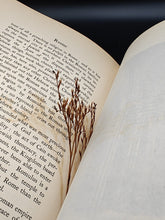 Load image into Gallery viewer, The Splendor of Rome, Women in Cambridge, and the Lusitania : Tuker - Rome (1905)