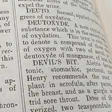 Load image into Gallery viewer, Beach - Medical and Botanical Dictionary (1848)