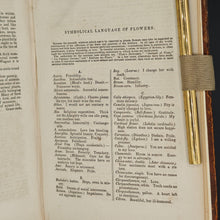 Load image into Gallery viewer, Beach - Medical and Botanical Dictionary (1848)