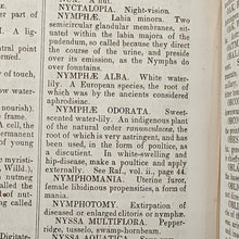 Load image into Gallery viewer, Beach - Medical and Botanical Dictionary (1848)