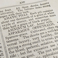 Load image into Gallery viewer, Beach - Medical and Botanical Dictionary (1848)