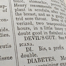 Load image into Gallery viewer, Beach - Medical and Botanical Dictionary (1848)