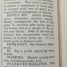 Load image into Gallery viewer, Beach - Medical and Botanical Dictionary (1848)