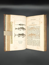 Load image into Gallery viewer, Questionable Fishes : Goldsmith - A History of the Earth and Animated Nature (1816)