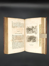Load image into Gallery viewer, Questionable Fishes : Goldsmith - A History of the Earth and Animated Nature (1816)