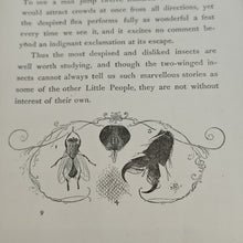 Load image into Gallery viewer, Hook - Little People and their Home in Meadows, Woods, and Waters (1888)