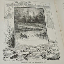 Load image into Gallery viewer, Hook - Little People and their Home in Meadows, Woods, and Waters (1888)