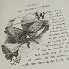 Load image into Gallery viewer, Hook - Little People and their Home in Meadows, Woods, and Waters (1888)